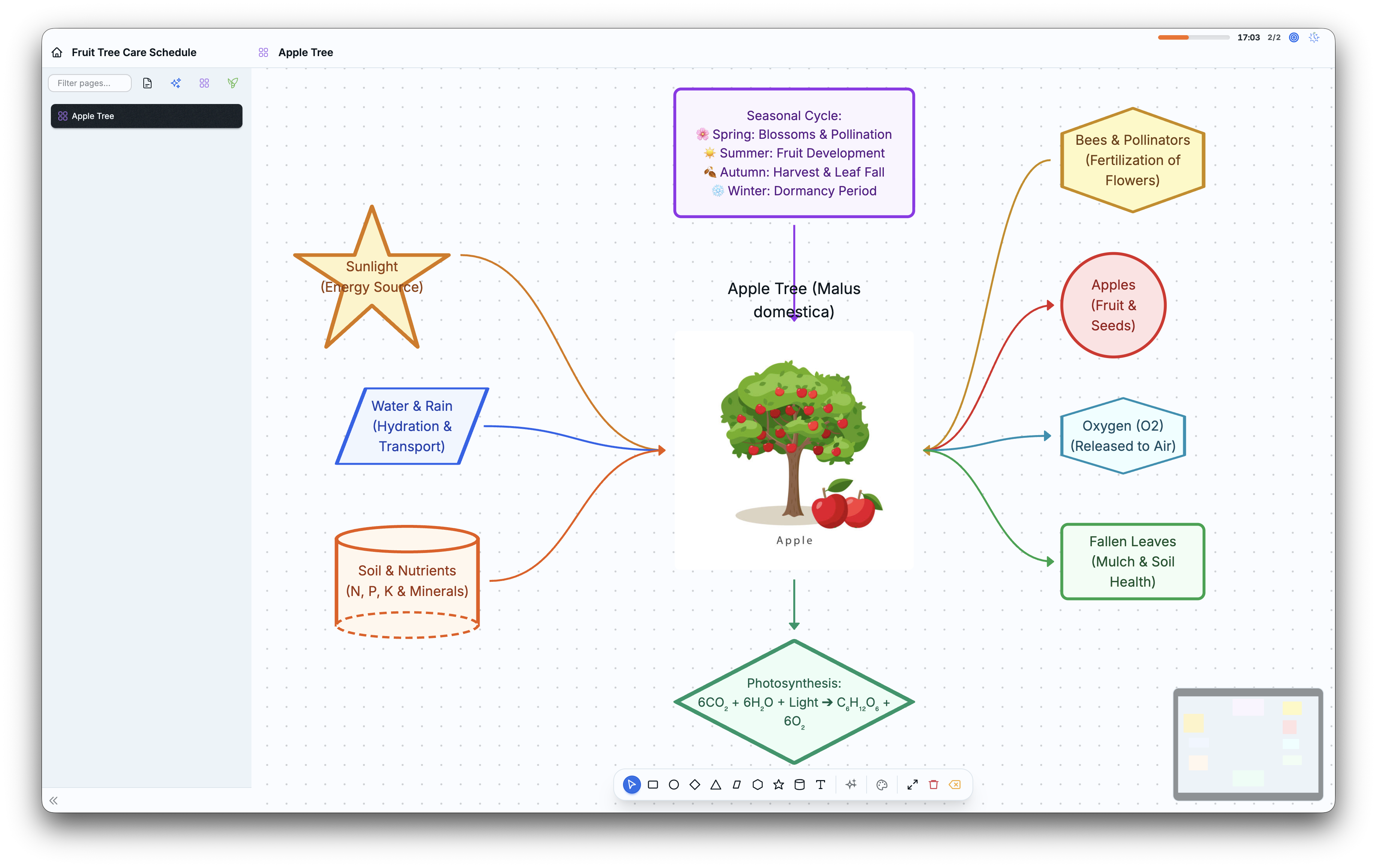Board Mind Map